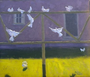 Tauben, 1999